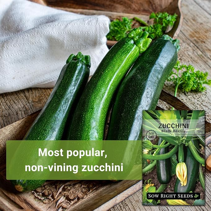 Sow Right Seeds - Black Beauty Zucchini Seeds for Planting - Non-GMO Heirloom Packet with Instructions to Plant a Home Vegetable Garden - Summer Squash - Classic Zucchini Good for Large Containers (1)