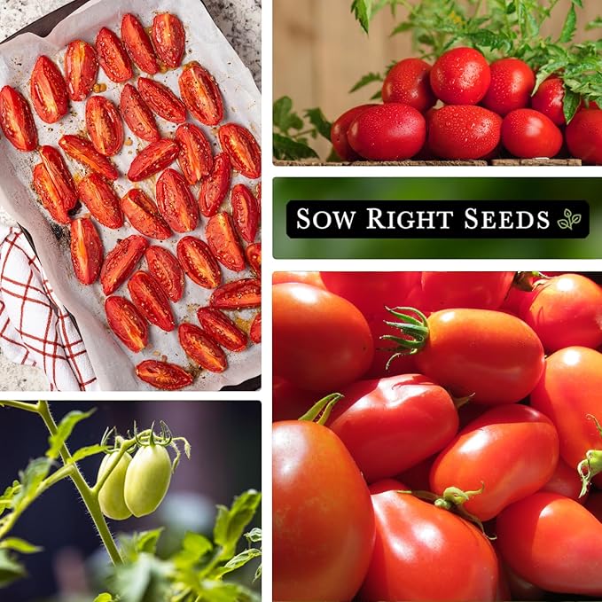 Sow Right Seeds - Roma Tomato Seeds for Planting - Non-GMO Heirloom Packet with Instructions to Plant a Home Vegetable Garden - Classic Medium Red Tomato - Great for Sauce Making (1)