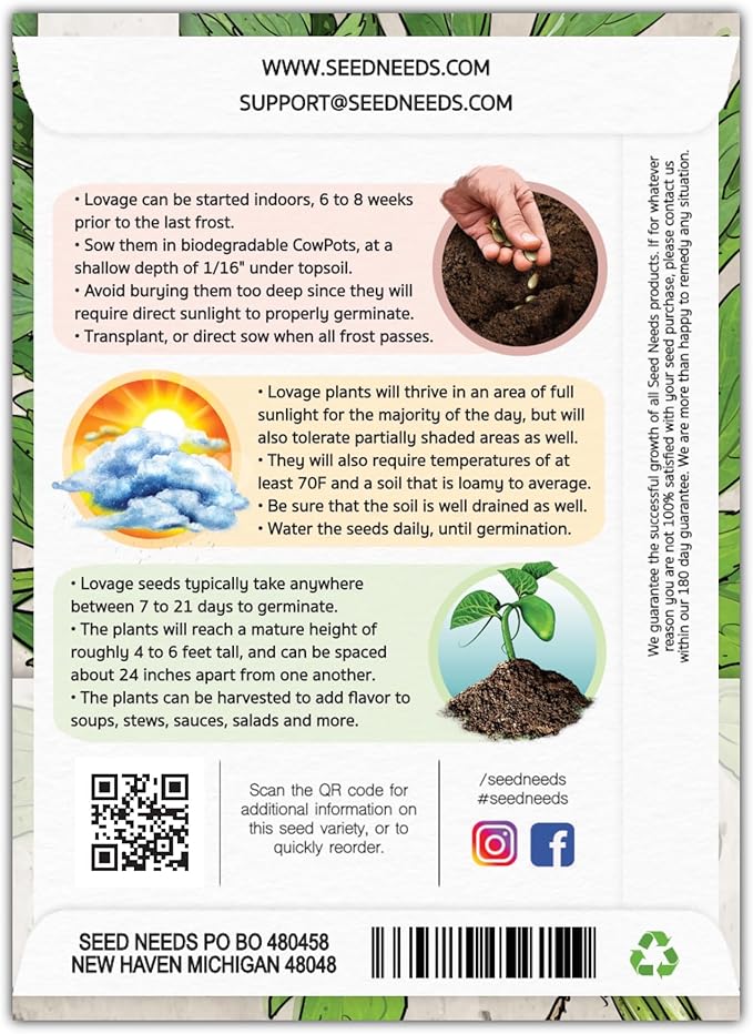 Seed Needs Lovage Seeds for Planting - Non-GMO, Heirloom & Untreated - Organically Grow Your own Medicinal/Culinary Herb Garden Indoors or Outdoors (1 Pack)