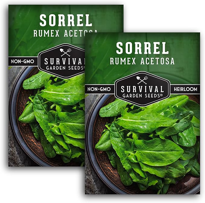 2 Packs Sorrel Seed for Planting - Packet with Instructions to Plant and Grow Rumex Acetosa Tangy Herb and Salad Greens in Your Home Vegetable Garden - Non-GMO Heirloom Variety - Survival Garden Seeds