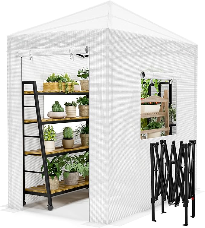 Devoko Walk-in Greenhouse, Portable Pop-in Green House with Zippered Door and 2 Roll-up Windows and PE Cover, Portable and Easy Assemble (White, 6x4 Feet)