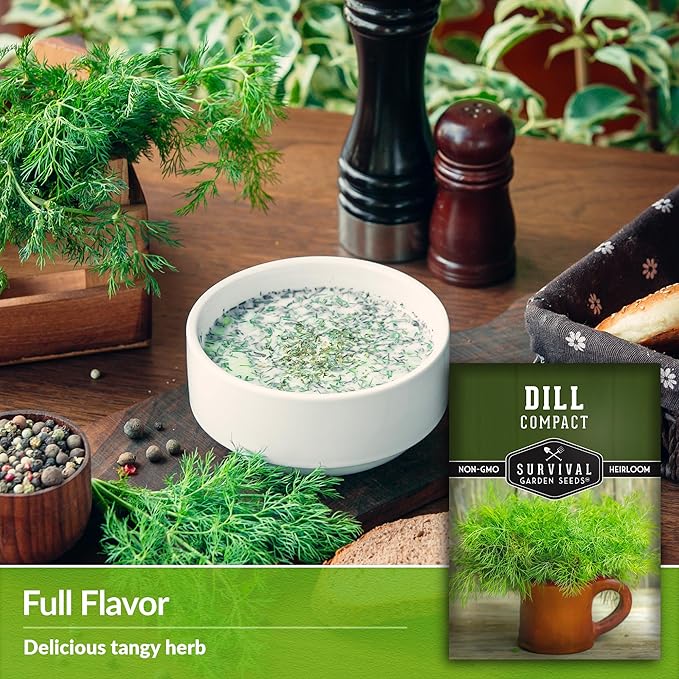 Survival Garden Seeds Compact Dill for Planting - 2 Seed Packets with Instructions to Plant & Grow Container Sized Dwarf Dill Herb Plants in Your Home Garden - Non-GMO Heirloom Variety