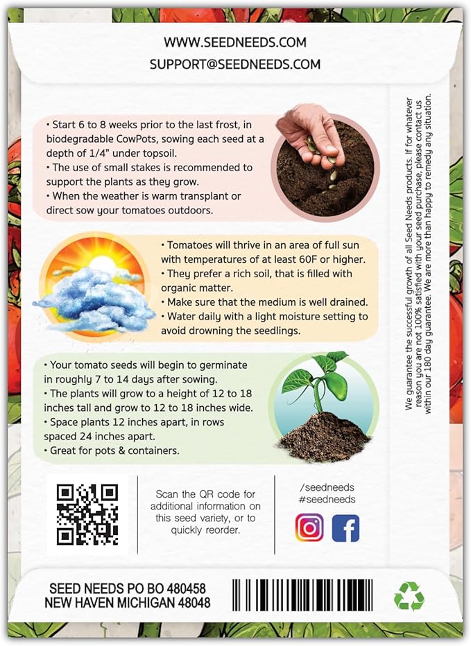 Seed Needs Tiny Tim Tomato Seeds for Planting - Non-GMO, Heirloom & Untreated - Organically Grow an Outdoor Vegetable Garden - Dwarf Plants Produce Cherry Tomatoes (5 Packs)