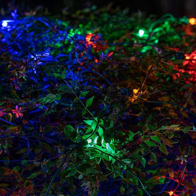 Wintergreen Lighting SoftTwinkle Pulsing Net Twinkle Lights, Outdoor Twinkling Christmas Lights, Green Wire (70 Lights, 4’ x 6’ Net, Multicolor)
