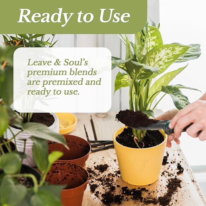 Professional Aloe Plant Soil | Premium All Purpose Blend | Large 2.2 Quarts | Ready to Use for Aloe, Cactus, Succulent Plants | Pinebark, Peat, Course Sand | Made in USA