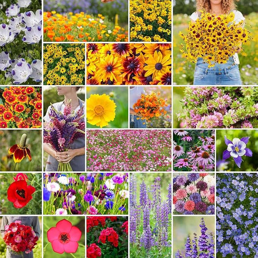 Eden Brothers Western Wildflower Mixed Seeds for Planting, 10 lb, 4,800,000+ Seeds with Cornflower, Blanket Flower | Attracts Pollinators, Plant in Spring or Fall, Zones 3, 4, 5, 6, 7, 8, 9, 10