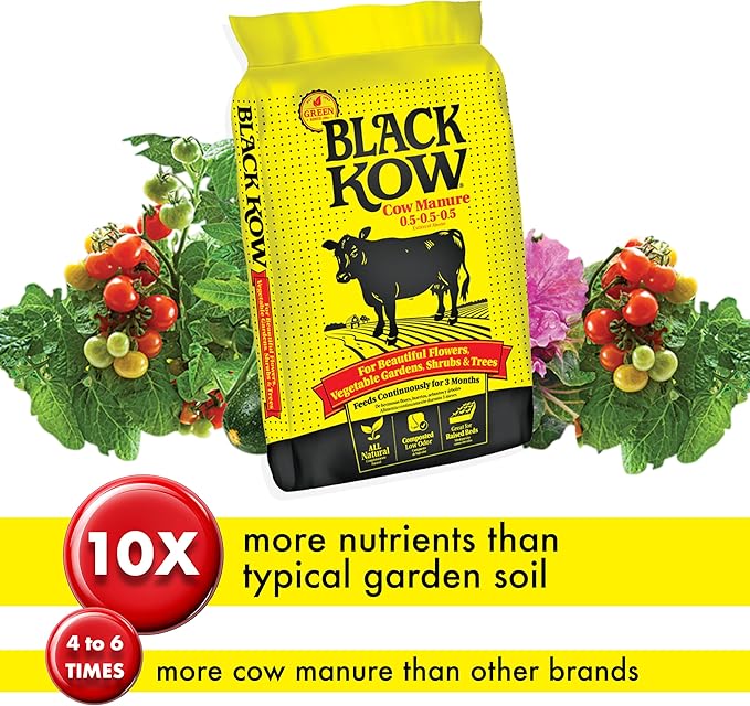 Black Kow Nitrogen Phosphate Composted Cow Manure Fertilizer for Soil, Flowers, Potted Plants, Raised Beds, and Compost Tea, (8 qt)