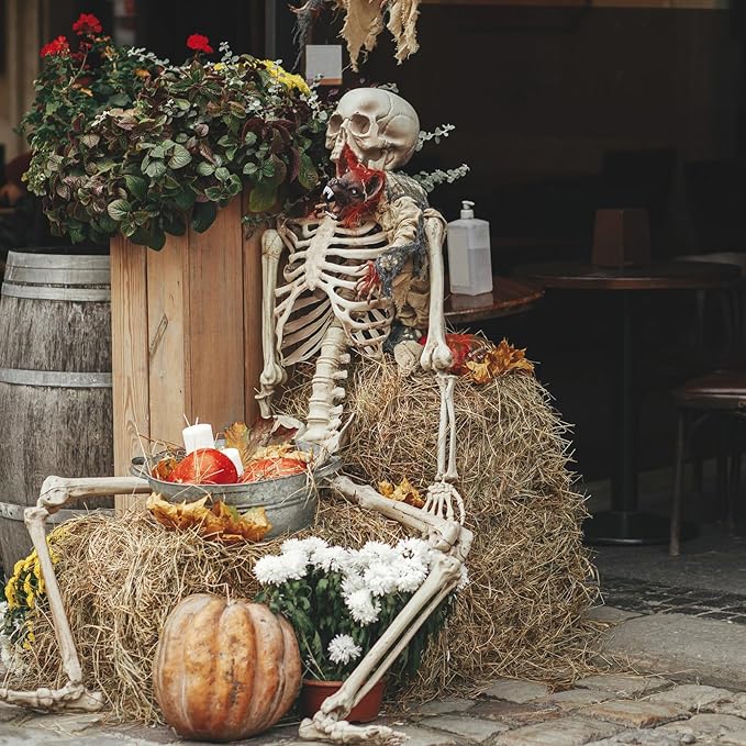 11 Pcs Halloween Skeleton Decorations Realistic Full Body Movable Joints Halloween Plastic Skeleton for Cemetery, Yard, Indoor and Outdoor Party Decoration