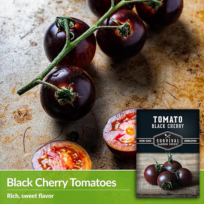 Black Cherry Tomato Seed for Planting - 3 Packets with Instructions to Plant & Grow Reddish-Purple Cherry Tomatoes in Your Home Vegetable Garden - Non-GMO Heirloom Variety - Survival Garden Seeds