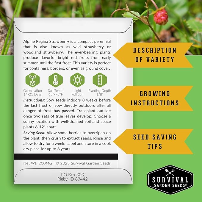 Alpine Regina Strawberry Seed for Planting - 3 Packets with Instructions to Plant & Grow Wild or Woodland Strawberries in The Home Vegetable Garden - Non-GMO Heirloom Variety - Survival Garden Seeds