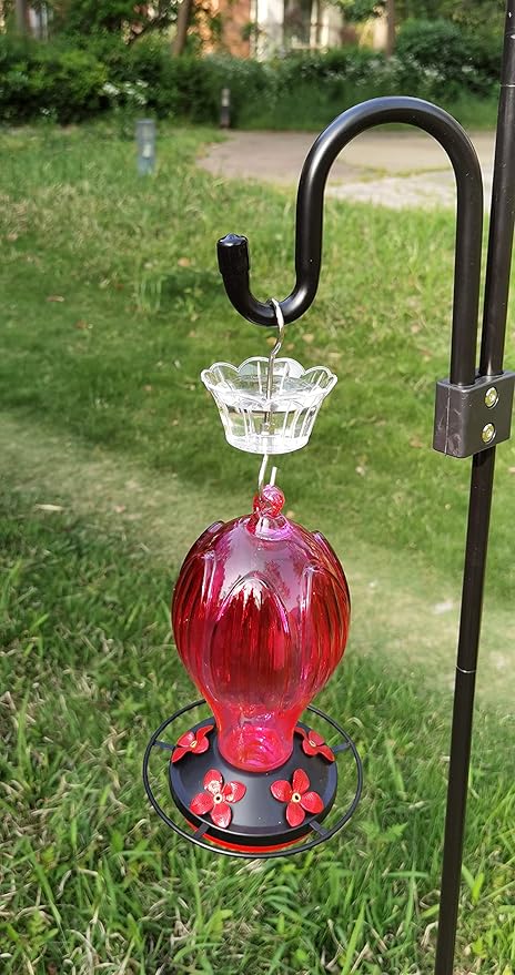 Ant Moat for Hummingbird Feeder - 3 OZ x 2 Pack Clear Insect Guard with Large Capacity