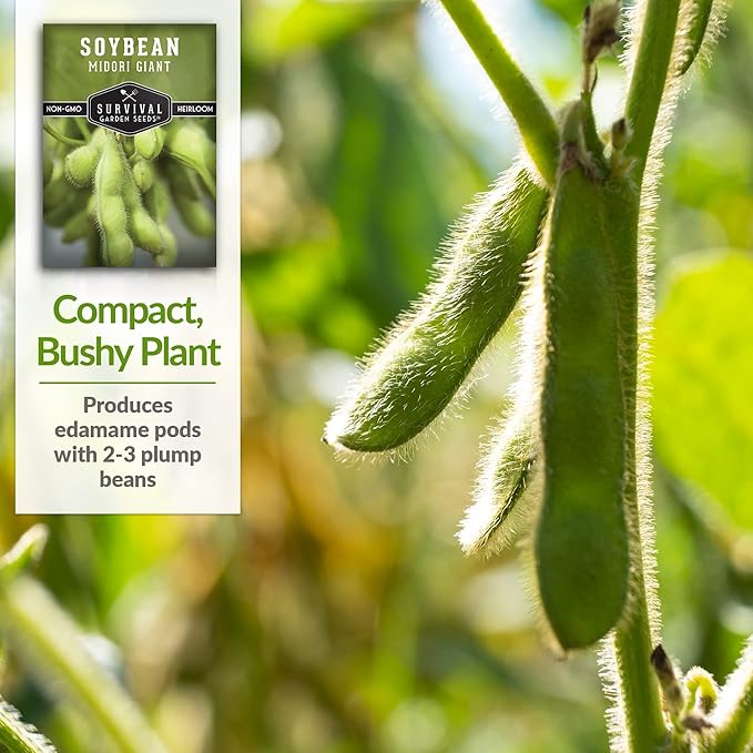 Survival Garden Seeds - Midori Giant Soybean Seed for Planting - 5 Packs with Instructions to Plant and Grow Protein-Rich Edamame Pods in Your Home Vegetable Garden - Non-GMO Heirloom Variety