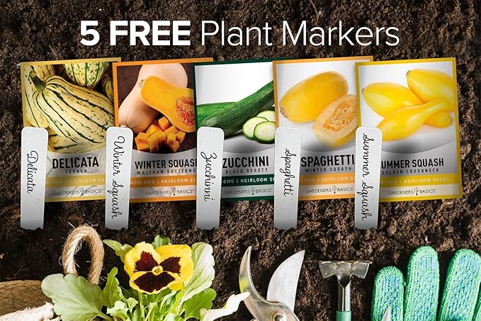 Gardeners Basics, Squash Seeds for Planting 5 Individual Packets - Zucchini, Delicata, Butternut, Spaghetti and Golden Crookneck for Your Non GMO Heirloom Vegetable Garden