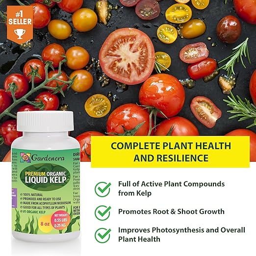 Organic Liquid Kelp Fertilizer - 1 Quart [32 oz] - Organic Plant Superfood for Gardening - Concentrated Kelp & Seaweed Extract for Gardens, Lawns, Plants & Soil