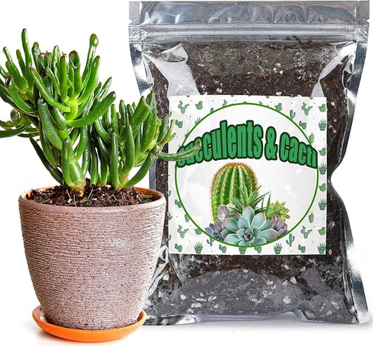 Cactus and Succulent Soil Potting Mix 4qt, Well Draining Chunky Soil Mix for Indoor Plants, Gritty Soil for Healthy Indoor Plants - Spike & Bloom