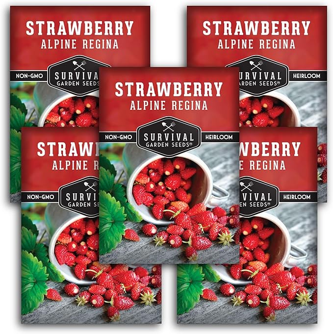 Alpine Regina Strawberry Seed for Planting - 5 Packets with Instructions to Plant & Grow Wild or Woodland Strawberries in The Home Vegetable Garden - Non-GMO Heirloom Variety - Survival Garden Seeds