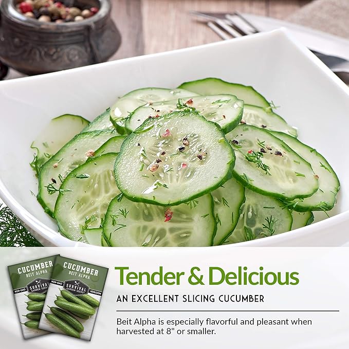 Survival Garden Seeds - Beit Alpha Cucumber Seed for Planting - Pack with Instructions to Plant and Grow Smooth Green Burpless Cucumbers in Your Home Vegetable Garden - Non-GMO Heirloom Variety - 3