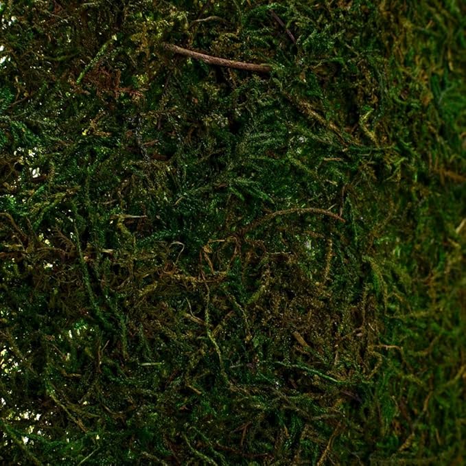 Byher Dried Moss Table Runner for Party Garden Decoration, Dark Green 30cm X 180cm ( 12" x 71" )