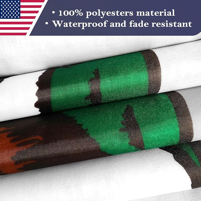 Double Sided Californian State Flag 3x5 Made in USA Outdoor Heavy Duty 3 Ply Nylon Californian Flags with White Starting Tape and 2 Brass Grommets