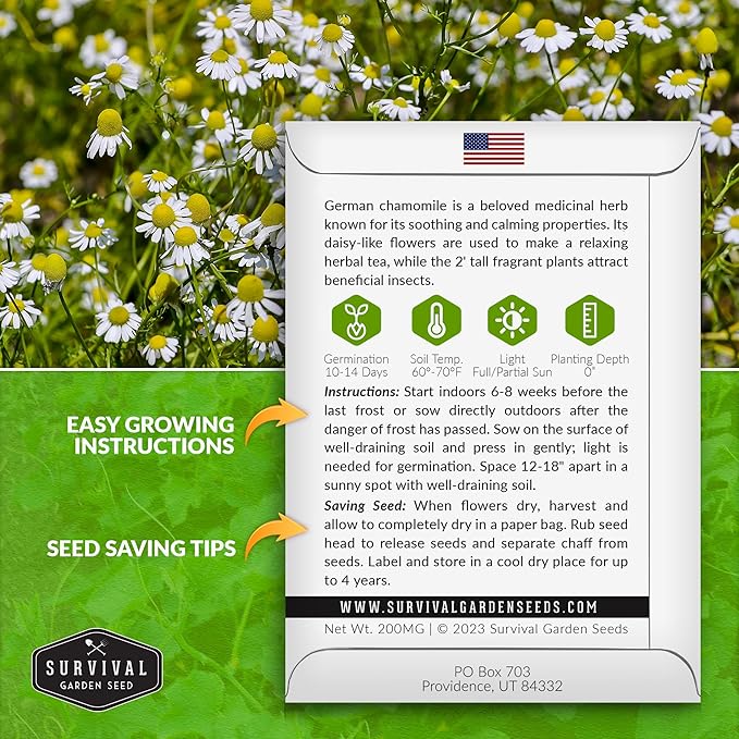 German Chamomile Seeds for Planting - 3 Packets with Instructions to Plant and Grow Matricaria chamomilla in Your Home Herb Garden - Non-GMO Heirloom Variety - Survival Garden Seeds