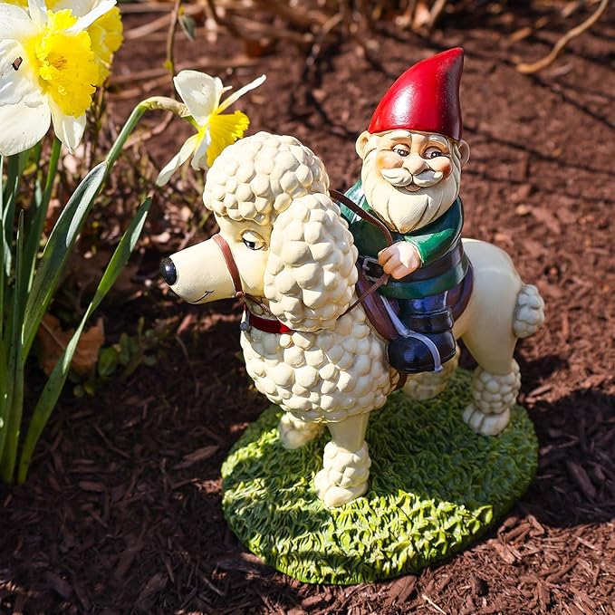 10” Poodle Garden Gnome Statue – Fun Lawn Ornament for Dog Lovers – Durable Resin Yard Decor with Faux Leather Leash – Unique Gift for Poodle Owners & Pet Enthusiasts