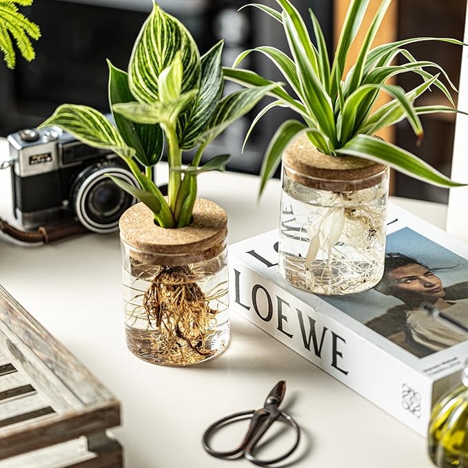 Glass Propagation Stations for Plants -Desktop Flower Vases,Propagation Flower Vases Set – 2 Sizes Planter Propagated Jars ,for Plant Cuttings,for Living Room, Bedroom Decoration,Home,Office Decor(8)