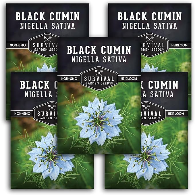 Black Cumin Seed for Planting - 5 Packets with Instructions to Plant and Grow Beneficial Nigella Sativa Plants in Your Home Vegetable Garden - Non-GMO Heirloom Variety - Survival Garden Seeds