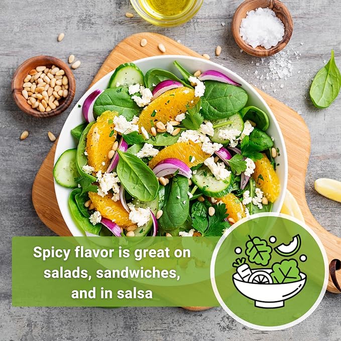 Sow Right Seeds - Red Creole Onion Seeds for Planting - Non-GMO Heirloom Packet with Instructions to Plant a Home Vegetable Garden - Grow Classic Purple Onions, Essential for Cooking (2)