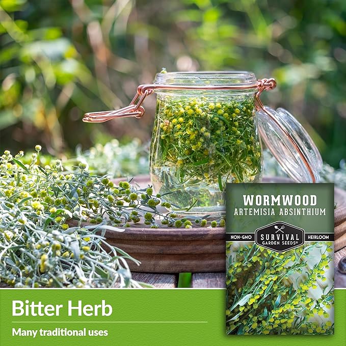 Wormwood Seeds for Planting - 2 Packets with Instructions to Plant and Grow Beneficial Medicinal Herbs in Your Home Herb Garden - Non-GMO Heirloom Variety - Survival Garden Seeds