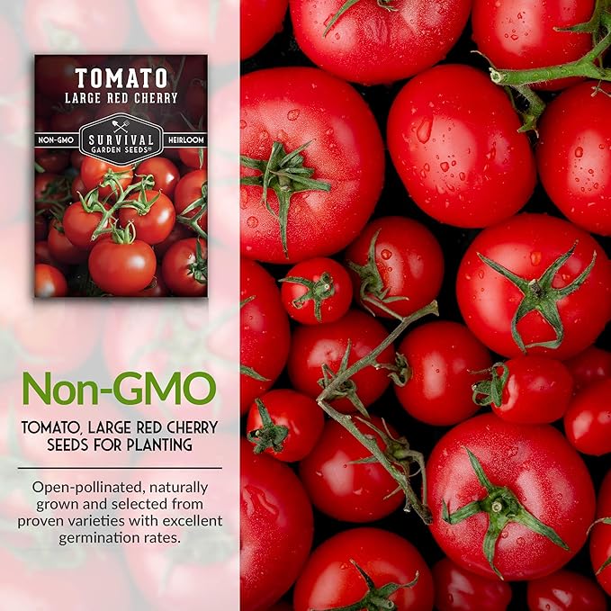 Survival Garden Seeds - Large Red Cherry Tomato Seed for Planting - 5 Packets with Instructions to Plant and Grow Tomatoes in Your Home Vegetable Garden - Non-GMO Heirloom Variety
