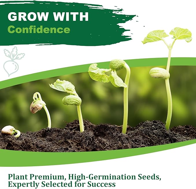 TKE Farms & Gardens - Rue Seeds for Planting, 1 Gram, 500 Heirlooom Seeds, Non-GMO, Instructions Included, Ruta graveolens, Qty 1