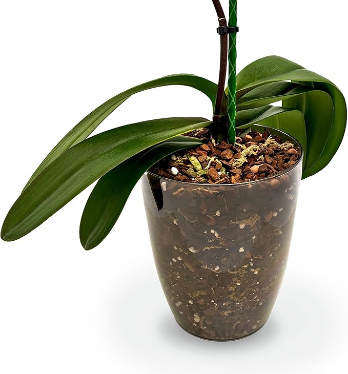 Premium Orchid Soil Mix by Gardenera - Hand Mixed New Zealand Pinus Radiata 100% Natural Potting Soil Bark Mix - for Phalaenopsis Orchid - 3 Quart - Made in USA