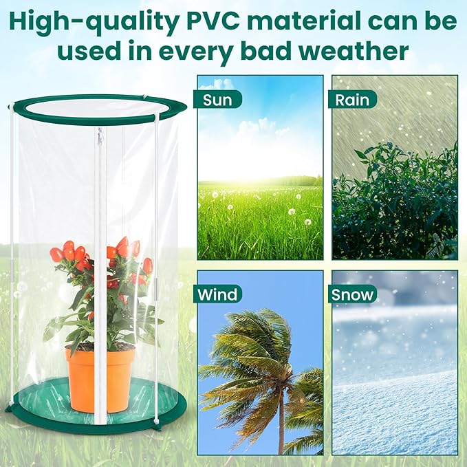Nuanchu 4 Pieces Mini Greenhouse 19.7 x 10.2 Inch Portable Plant Flowers Mini Cover PVC Clear Greenhouse for Indoor Outdoor Gardening