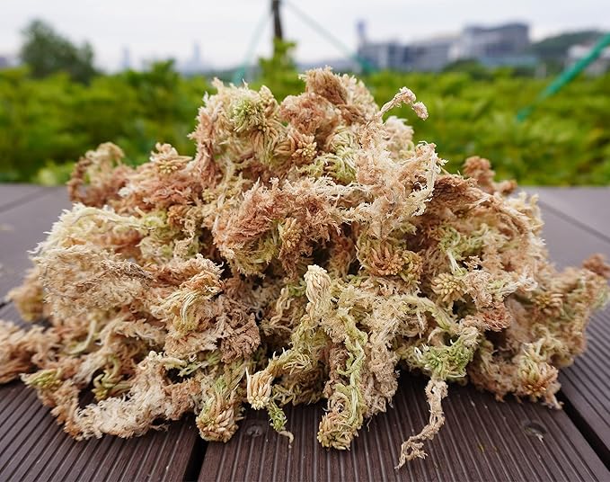 Sphagnum Moss 34QT for Plant Propagation, Great Orchid Potting Mix, Help with Maintain Humidity, 10oz