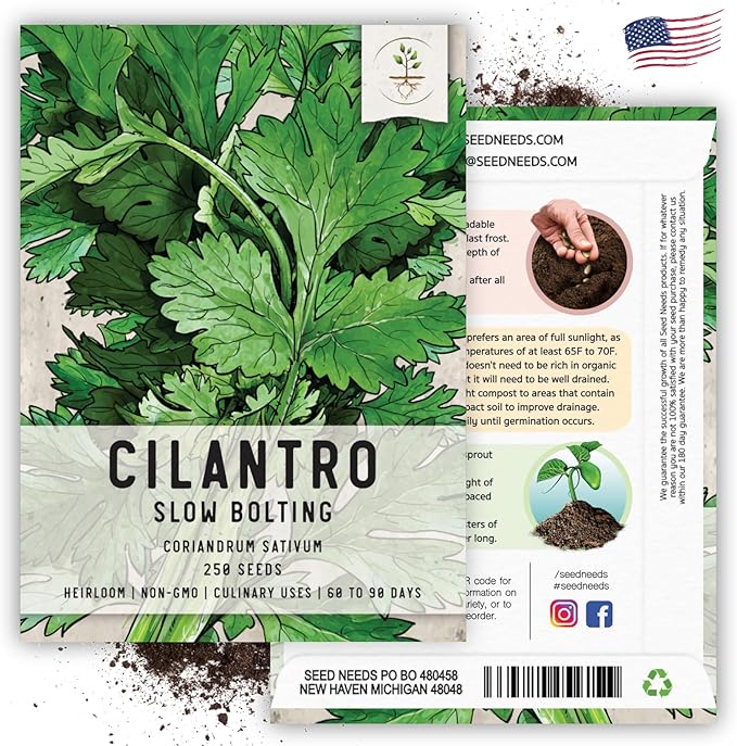 Seed Needs Cilantro Seeds for Planting Coriander Kitchen Herbs - Non-GMO, Heirloom & Untreated - Organically Grow a Home Grown Herb Garden Indoors or Outdoors (5 Packs)