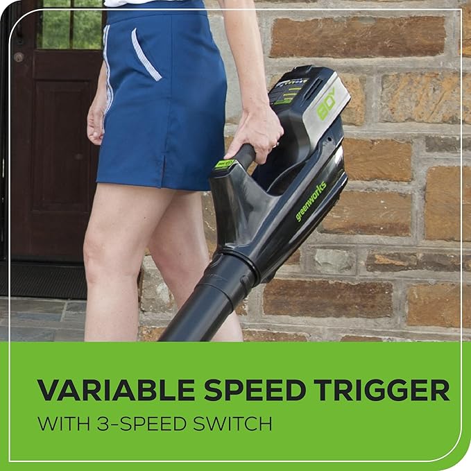 Greenworks 80V 21” Brushless (Push) Cordless Electric Lawn Mower + (500 CFM) Axial Leaf Blower (75+ Compatible Tools), (2) 2.0Ah Batteries and 30 Minute Rapid Charger