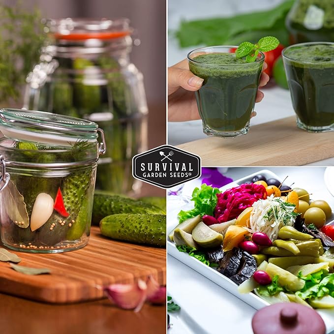 3 Packs Spacemaster Cucumber Seed for Planting - Packet with Instructions to Grow Container Friendly Cucumbers in Your Home Vegetable Garden - Non-GMO Heirloom Variety - Survival Garden Seeds