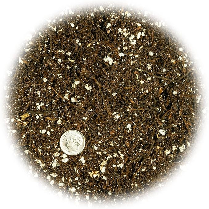 Premium Organic Potting Soil, Succulent & Cactus Soil Mix, Fast Draining Pre-Mixed Blend - Horticultural Perlite (25%) + Peat Moss (75%) - Made in USA - 5 Quart