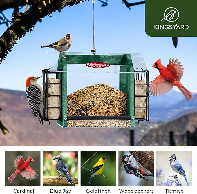 Kingsyard Hopper Bird Feeder for Outdoors Hanging, Recycled Plastic Double Suet Feeder with Clear View Windows, 3 LBS Seed, Cardinal Woodpecker Bluebird Feeder, Green