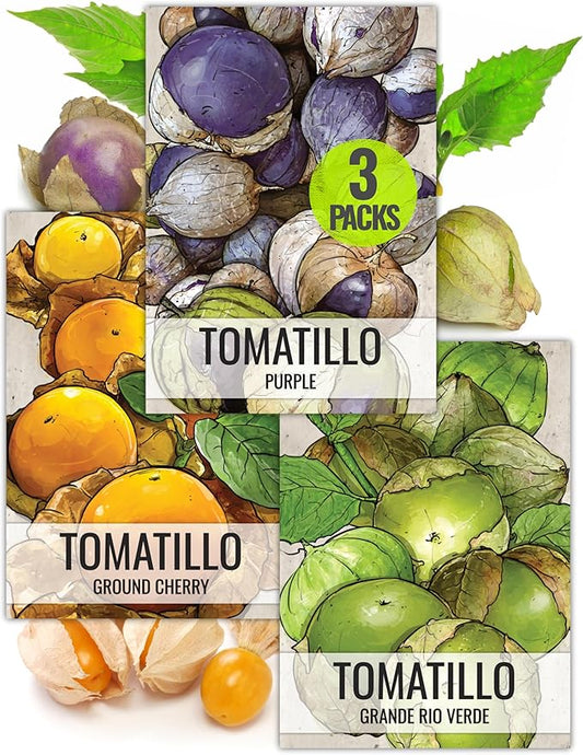 Seed Needs Tomatillo Seeds for Planting Variety Pack - Heirloom, Non-GMO & Untreated - Grow an Outdoor Vegetable Garden (3 Packs)