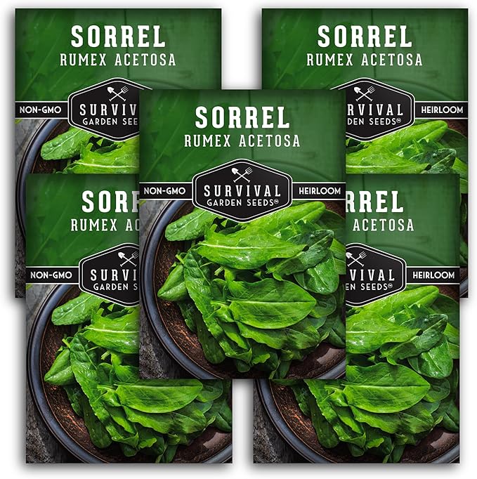 5 Packs Sorrel Seed for Planting - Packet with Instructions to Plant and Grow Rumex Acetosa Tangy Herb and Salad Greens in Your Home Vegetable Garden - Non-GMO Heirloom Variety - Survival Garden Seeds