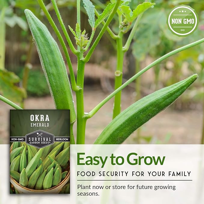 Survival Garden Seeds - Emerald Okra Seed for Planting – 1 Packet with Instructions to Grow Tender, Large Okra Plant Pods in Your Home Vegetable Garden – Non-GMO Heirloom Variety Seed
