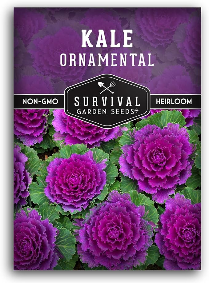 Ornamental Kale Seed for Planting - 1 Packet with Instructions for Growing Ornamental Flowering Kale Plants in Your Home Vegetable Garden - Non-GMO Heirloom Variety - Survival Garden Seeds