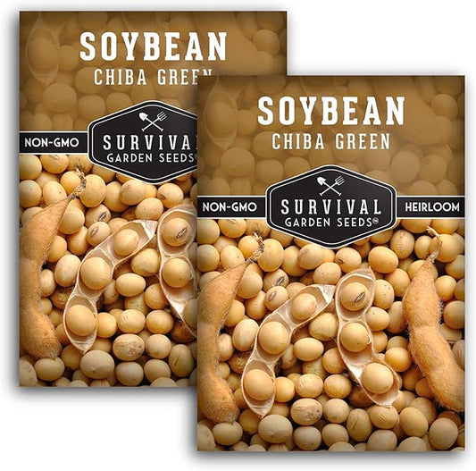 Survival Garden Seeds - Chiba Green Soybean Seed for Planting - 2 Packs with Instructions to Plant and Grow Protein-Rich Edamame Pods in Your Home Vegetable Garden - Non-GMO Heirloom Variety