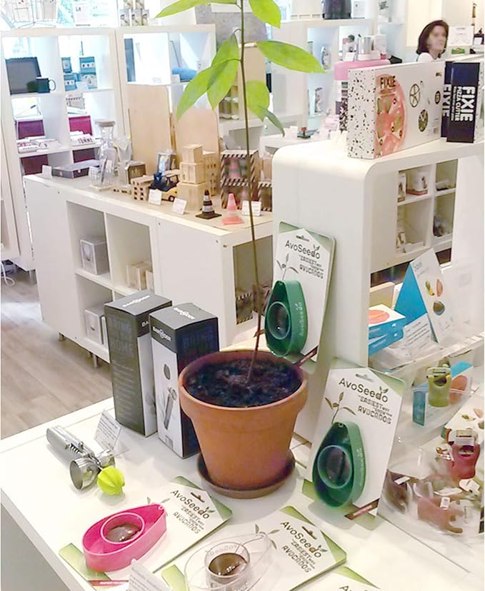 Avocado Tree Growing Kit, Clear, Practical Gifts for Women, Mom, Sister & Best Friend, Plant Indoors with Novelty Pit Grower Boat & Kitchen Garden Seed Starter