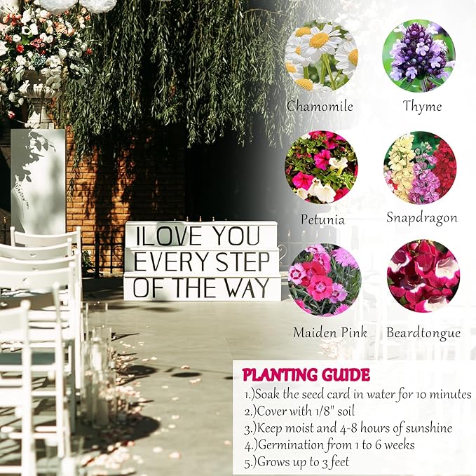 Set of 6 Seed Paper – 6 Pink Butterflies & 6 White Pots with Bow for Weddings & Life Events