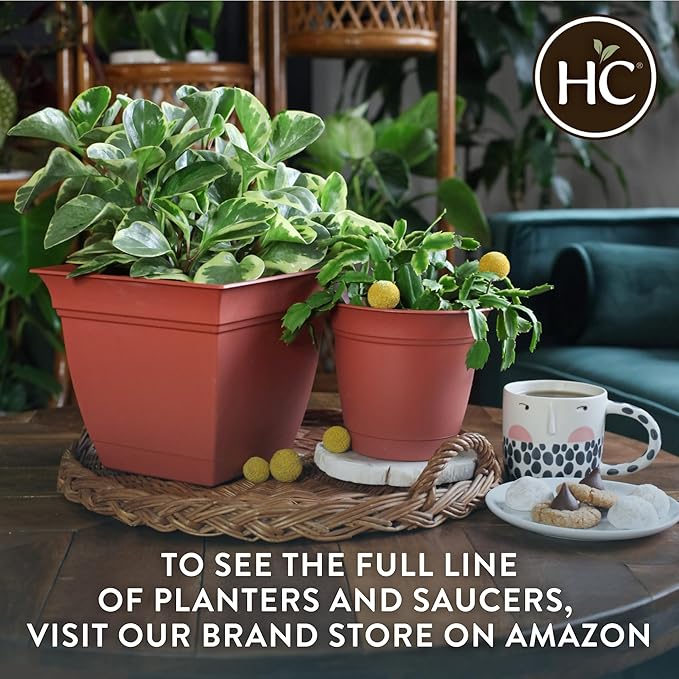 The HC Companies 6 Inch Eclipse Square Planter with Saucer – Indoor Outdoor Plant Pot for Flowers Vegetables Herbs, Cappuccino (Pack of 4)