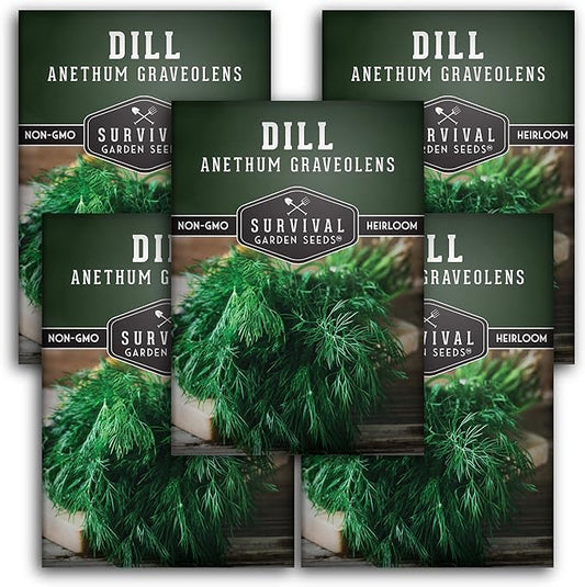 Survival Garden Seeds - Dill Seeds for Planting – Packet with Instructions to Grow Popular Pickling Herbs in Your Home Vegetable & Herb Garden – Non-GMO Heirloom Variety Seeds – 5 Pack