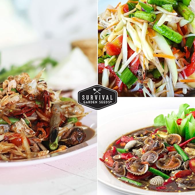 Survival Garden Seeds - Royal Burgundy Bean Seed for Planting - 3 Packs with Instructions to Plant and Grow Stringless Purple Bush Beans in Your Home Vegetable Garden - Non-GMO Heirloom Variety