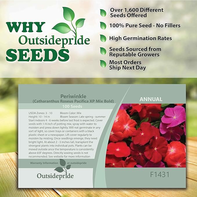 Outsidepride 200 Seeds Annual Vinca Periwinkle Pacifica XP Bold Ground Cover & Flower Seed Mix for Planting